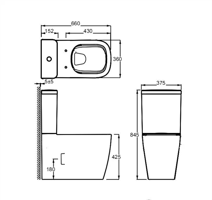 Back To Wall Close Coupled Intelligent Toilet