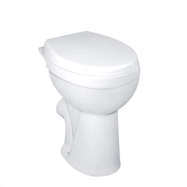 Comfort Height Back To Wall Toilet for Disabled People