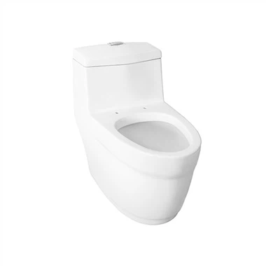 Dual-Flush One-Piece Siphonic Toilet