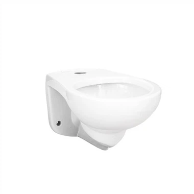 Flush Valve Toilet Bowl