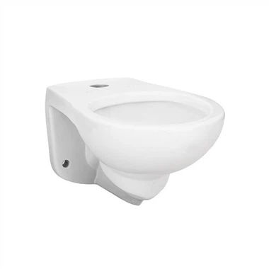 Wall Hung Flush Valve WC