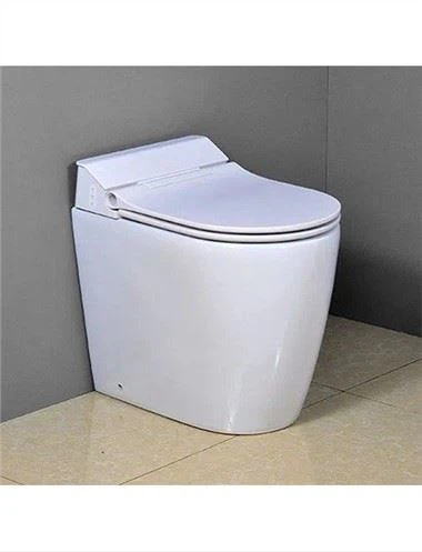 Bidet Toilet Back To Wall Concealed Cistern