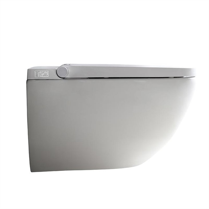 Wall Hung Intelligent Water Closet